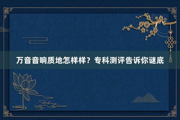 万音音响质地怎样样？专科测评告诉你谜底