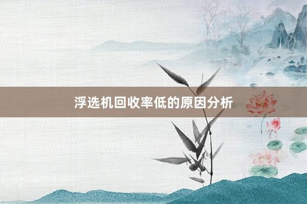 浮选机回收率低的原因分析