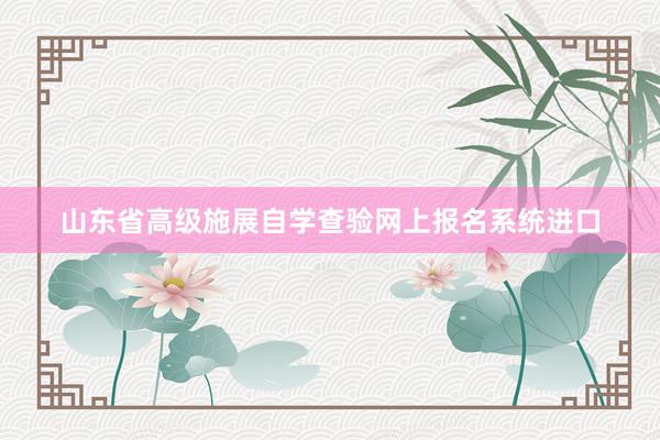 山东省高级施展自学查验网上报名系统进口
