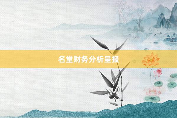 名堂财务分析呈报