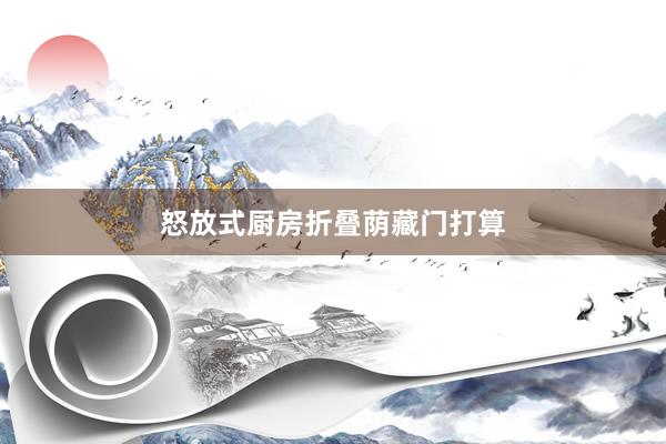 怒放式厨房折叠荫藏门打算